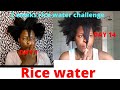 Real Results of using rice water challenge for 2weeks #ricewater #hairgrowth #ricewaterforhairgrowth
