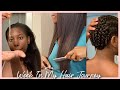 ✂️4 Inch Hair Cut, Benefits Of Scalp Brushing + More | Week In My Hair Journey