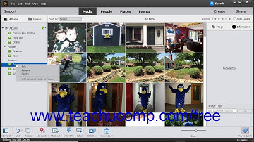 Photoshop Elements 2019 Tutorial Managing Albums Adobe Training
