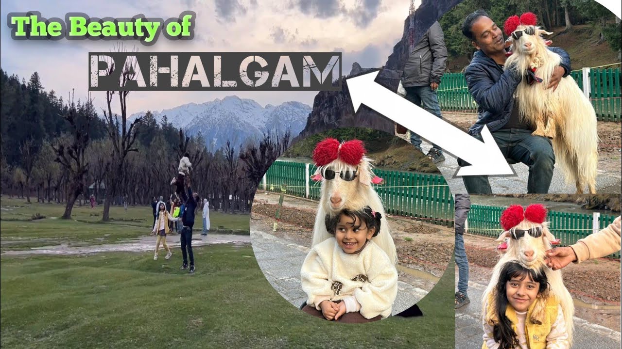 Pahalgam Vlog with Arfa & Aizah 🏞️✨ Exploring Heaven on Earth | Kashmir 🌷 Heaven on earth 🌎