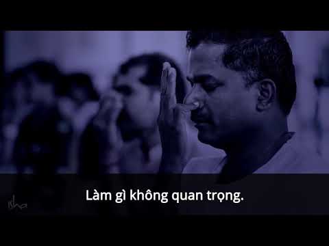 Sadhguru Tiếng Việt