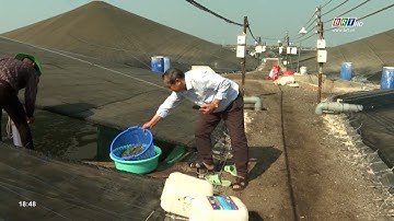 Sản xuất nông nghiệp thích ứng với biến đổi khí hậu | BRTgo