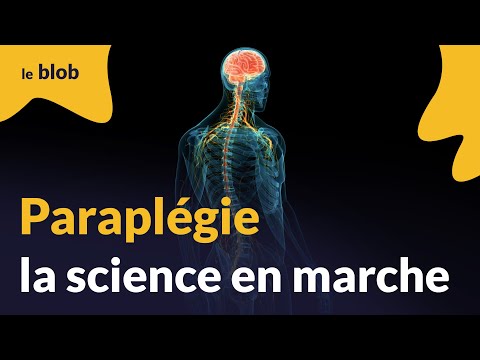 Ref:iEJ2QLPMRWQ Paraplégie, la science en marche | Actu de science
