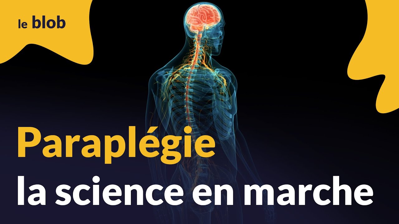 Paraplégie, la science en marche | Actu de science
