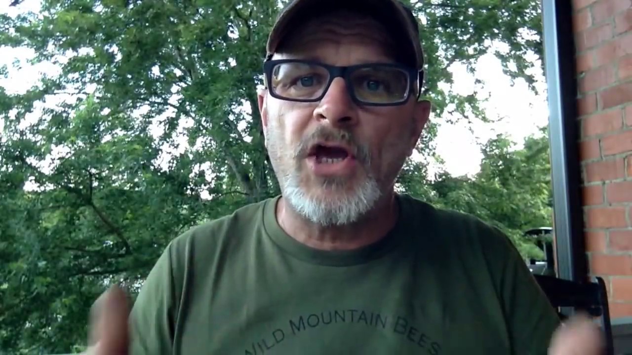 Почему в тележке с хот-догами нельзя есть сыр?