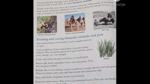 Class 3 EVS Lesson 13- Animals we keep part 1