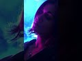 ça va bien - sun x turtles | coming soon