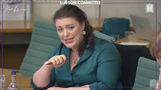 Questioning the Prime Minister at the Liaison Committee Hearing