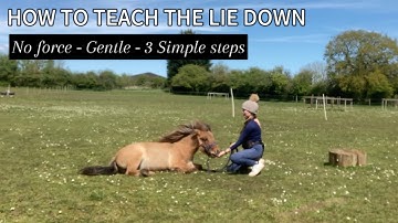 HOW TO TEACH A HORSE TO LIE DOWN - No Force - Gentle - 3 Simple Steps 💗🐴