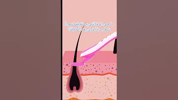 ما هي المدة التي يستغرقها نمو الشعر مرة أخرى بعد الحلاقة Shaving Hairremoval Mlay T14 