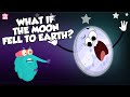 What If The Moon Fell To Earth? | Moon Video For Kids | The Dr Binocs Show | Peekaboo Kidz