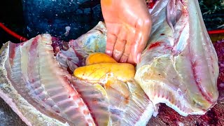 FISH MARKET ACEHNESE 🔪🔥|| BIG POMFRET FISH CUTTING SKILLS IN FISH MARKET || BIG EGGS FISH