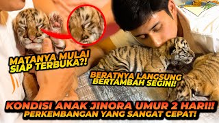 MAEN BARENG ANAK ESHAN JINORA UMUR 2 HARI  PROGRES DAN PERKEMBANGAN NYA SANGAT BAGUS 