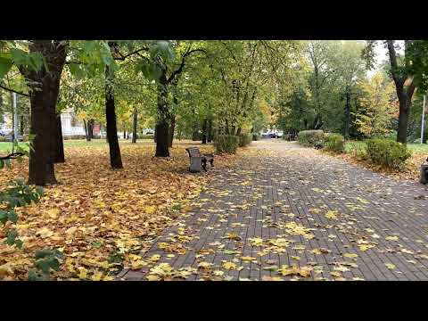 Золотая осень 2020