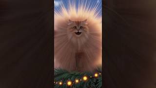Котики и ёлки — новогодняя магия работает!