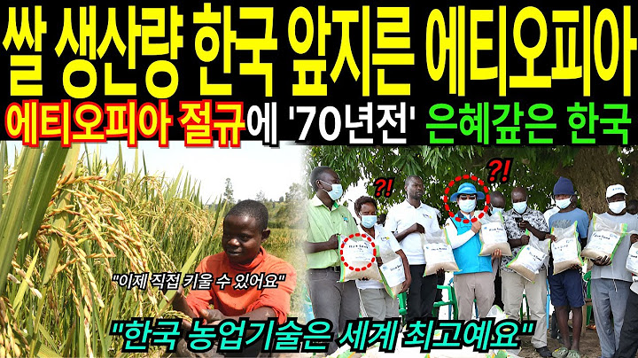 세계 1위 농업기술 한국 기술 전수해주자 한국 뛰어넘은 에티오피아, 전세계가 경악