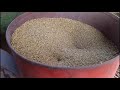 Homemade Grain Blower / Pneumatic grain blower.