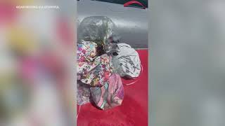 Family Pulls Dozens of Balloons From Sea During Boat Trip