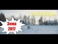 Сосновка  Зима 2017