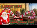 Larry Life Christmas Candy Canes and Titanic Fun!