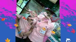 Download lagu the potter's kpan lagi