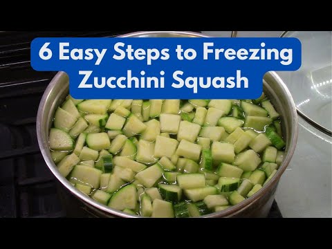 Vidéo : 6 étapes faciles pour congeler des courgettes