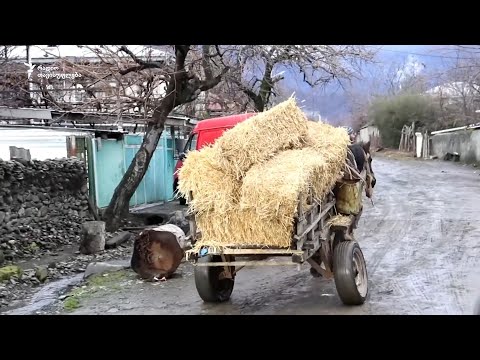 „შევარდნაძის დროიდან მოყოლებული არაფერი შეცვლილა“   - პრობლემები მთისძირში