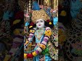 Shree parvat bole Shree Radha Radha #krishna #govardhan #vrindavan #premmandir