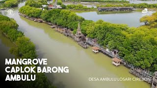 Wisata Mangrove Caplok Barong Desa Ambulu kec. Losari Kab. Cirebon