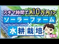 稼げる農業シリーズ④【突撃レポート】小松菜の水耕栽培で年間120万稼ぐ！？