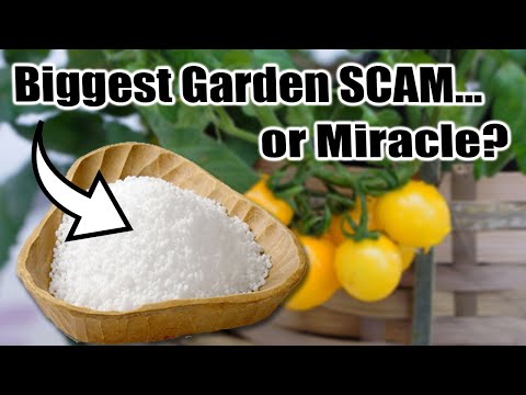 Is Epsom Salt Helping or Hurting Your Garden? The SCIENCE!