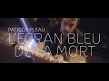 Patrick Pleau - L&#39;écran bleu de la mort