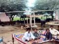 New technology of pakistan donkey fan 