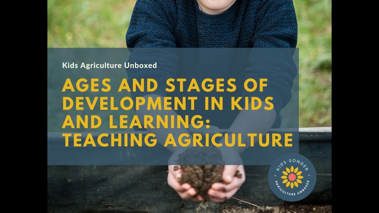 Ages and Stages of Development in Kids and Learning Teaching ...