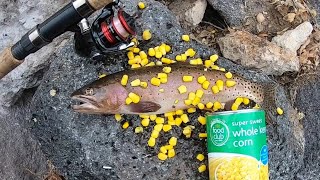 Trout Fishing With Canned Corn! - Catch n’ Cook