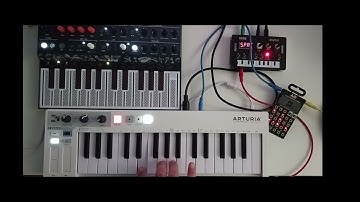 Microfreak, NTS-1, and PO-12 Jam