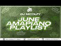 2024 june amapiano playlist by dj molfy  kelvin momo mawhoo uncle waffles