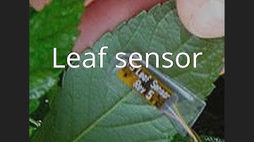 Leaf sensor