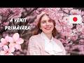 Un început de primăvară în Japonia pe care nu-l voi uita 🌸