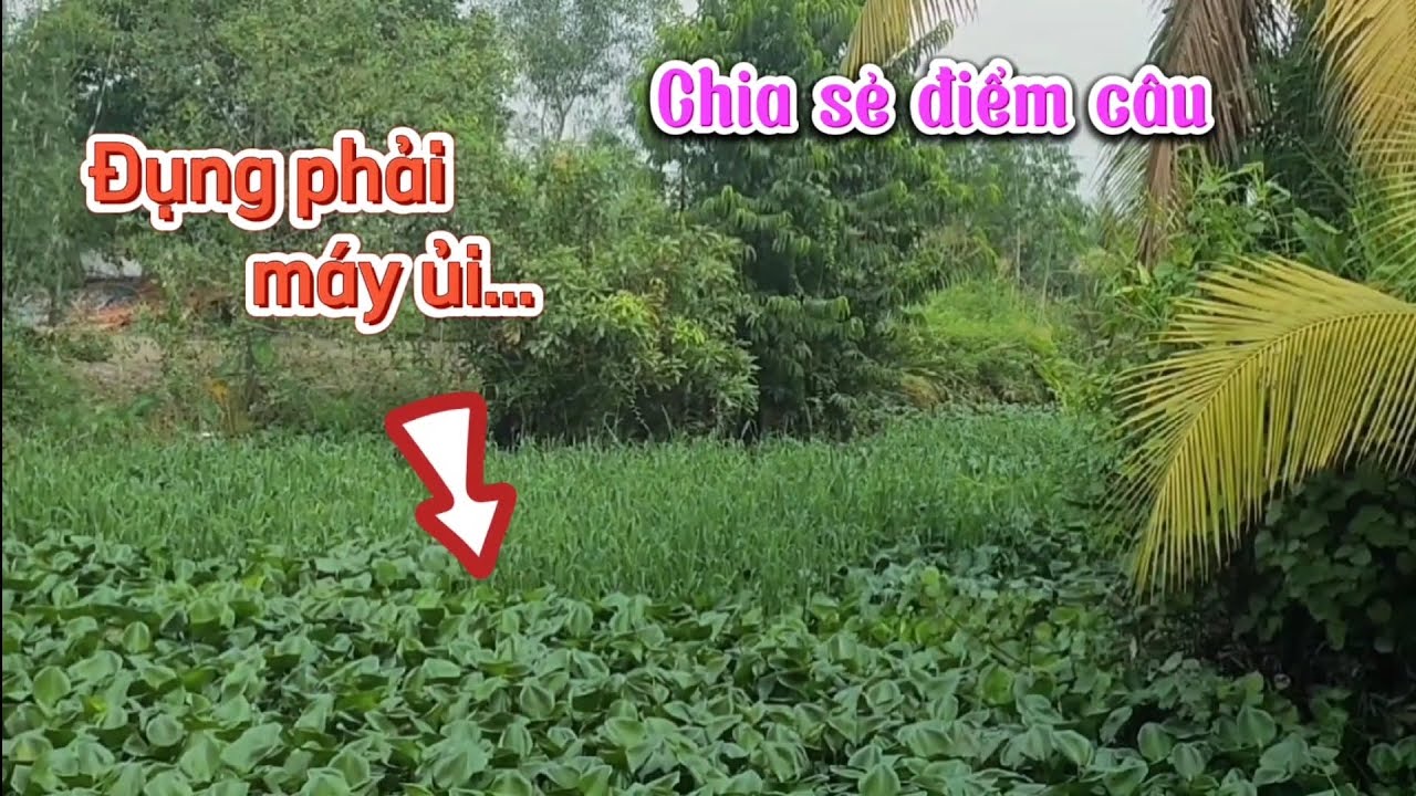 Chia sẻ điểm câu/Đụng độ máy ủi,thác lác xe tăng phê...