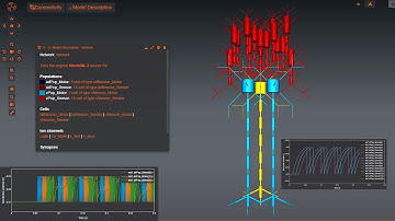Encoding Visual perception in the form of Spatio-temporal patterns for behavior modification