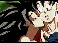 Goku x Caulifla