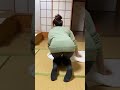 歩き出すベイビー　#baby #すごい #元気になる動画 #赤ちゃん