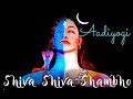 Shiva shiva shambho   adiyogi  light show  meditation song