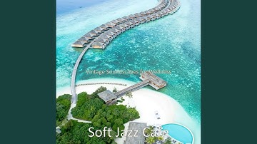 Vivacious Jazz Duo - Background for Work from Home