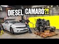 We’re Building a Diesel Powered Camaro!? // Knuckle Busters 2 Ep.1
