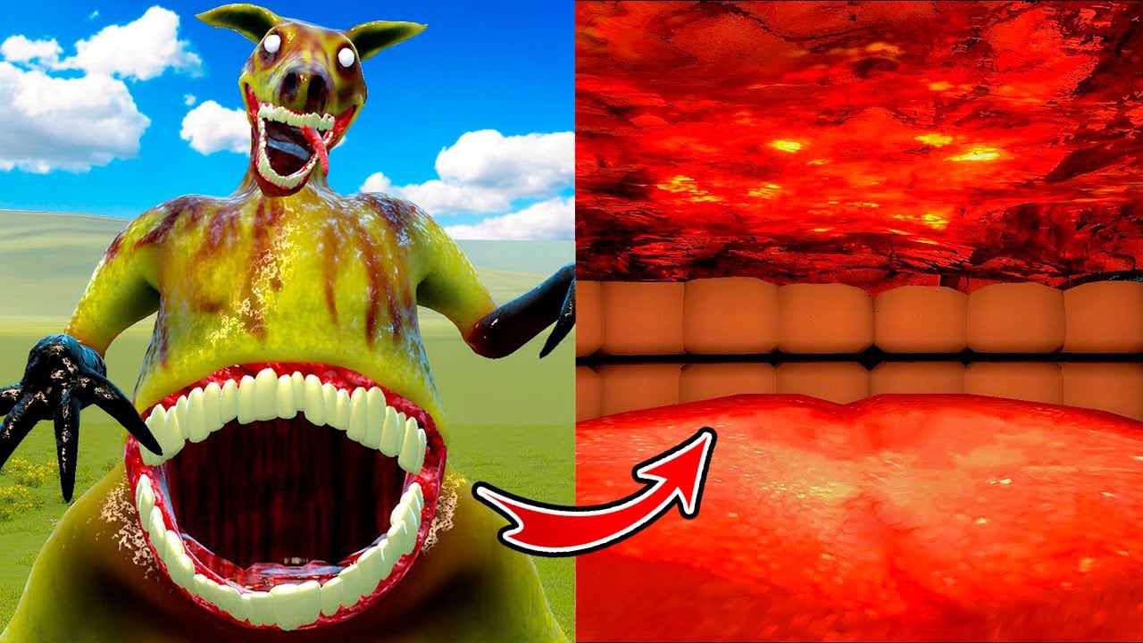 ¿QUE HAY DENTRO DEL CUERPO DEL CANGURO DE ZOOCHOSIS? Garry's Mod
