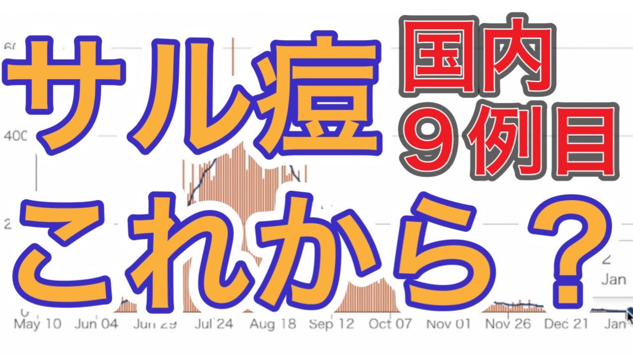 エムポックス(サル痘)・日本国内で9例目 - YouTube