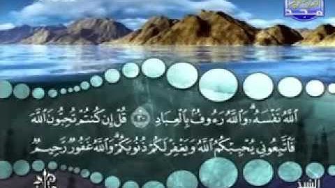 سورة آل عمران الآية 31
