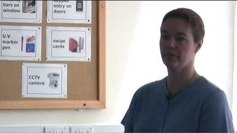 Part 12: Autograph & Scatterplots